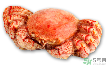 红毛蟹的介绍,红毛蟹图片