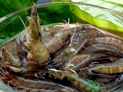 明虾如何去虾线,明虾一定要去虾线吗