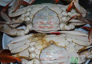 海蟹蒸多长时间才能熟,螃蟹蒸几分钟最好