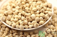 川贝可不可以直接泡水喝,川贝可以直接用来泡水喝吗 川贝可不可以直接泡水喝,川贝可以直接用来泡水喝吗