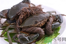 大闸蟹人工注射蟹黄,给螃蟹打针造假蟹黄