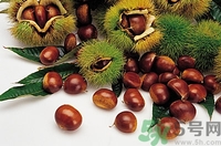 生板栗能空腹吃吗,空腹吃生板栗好不好 生板栗能空腹吃吗,空腹吃生板栗好不好
