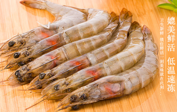 海虾怎么保存最新鲜,虾怎样存放才能保鲜