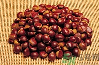 秋天吃板栗好吗,冬天适合吃板栗吗