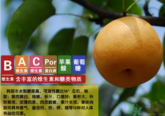 丰水梨的皮能吃吗,丰水梨的皮可以吃吗