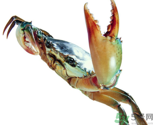 活的河蟹如何保存,河蟹怎么保存才新鲜,能保存多久