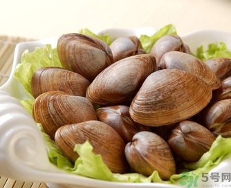 蛤蜊是寒性的吗,蛤蜊性寒还是性温