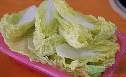 娃娃菜和白菜的区别是什么,娃娃菜也是白菜吗