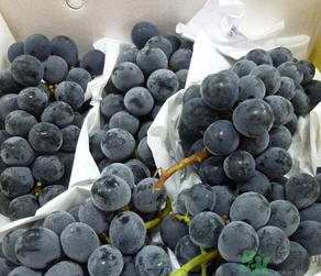 巨峰葡萄怎么保存,巨峰葡萄怎么保存?巨峰葡萄可以放多久?