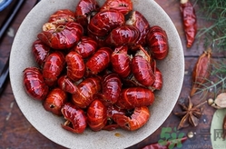 龙虾活的时候如何保存,活小龙虾怎么保存过夜 龙虾活的时候如何保存,活小龙虾怎么保存过夜