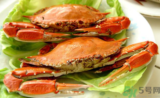 海螃蟹吃什么食物好养活,冷冻海蟹死了可以吃吗