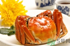 蟹黄还是蟹膏好吃,蟹黄和蟹膏有什么区别