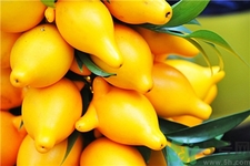 黄金果吃了有什么好处,黄金果是什么 黄金果的功效和作用 黄金果吃了有什么好处,黄金果是什么 黄金果的功效和作用