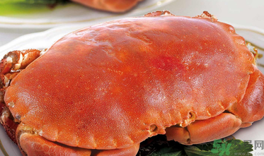 面包蟹死了还能吃吗?,面包蟹死了能不能吃了 面包蟹死了还能吃吗?,面包蟹死了能不能吃了