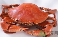 三门青蟹保存几天,青蟹的保存方法怎么样能让他活