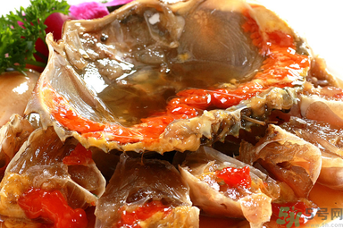 膏蟹是河蟹还是海蟹?,膏蟹是河蟹还是海蟹好 膏蟹是河蟹还是海蟹?,膏蟹是河蟹还是海蟹好