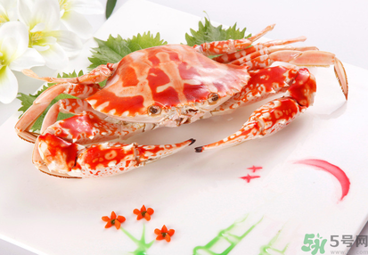 梭子蟹和花蟹的区别图片,梭子蟹和花蟹的区别 梭子蟹和花蟹的区别图片,梭子蟹和花蟹的区别