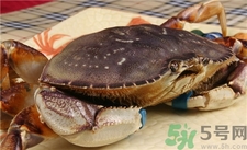 青蟹刚刚死了能不能吃了,青蟹死后可以吃吗