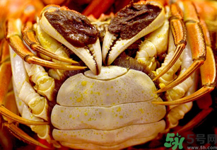 河蟹死了一天还能吃吗?,河蟹死了一天了还可以吃吗 河蟹死了一天还能吃吗?,河蟹死了一天了还可以吃吗