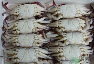 冷冻梭子蟹价格是多少,梭子蟹怎样保存效果最好