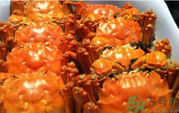 阳澄湖大闸蟹的营养价值和药用价值,阳澄湖大闸蟹的营养价值及功效