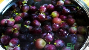 葡萄需要用盐水泡吗,葡萄要用盐水泡多长时间