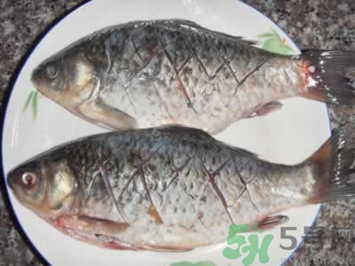 活鲫鱼怎样保存久一点,活鲫鱼买回家最好的储存方法 活鲫鱼怎样保存久一点,活鲫鱼买回家最好的储存方法