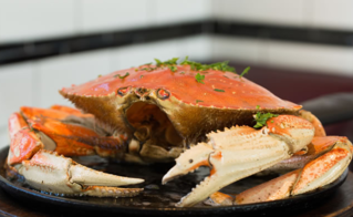 梭子蟹蒸多长时间就能熟了,梭子蟹蒸多长时间最佳 梭子蟹蒸多长时间就能熟了,梭子蟹蒸多长时间最佳