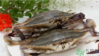 梭子蟹什么时候有黄和膏,梭子蟹长什么样