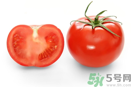 番茄和西红柿一样吗?,番茄跟西红柿一样吗