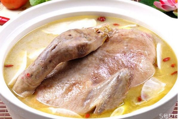 老鸭汤适合什么人吃,哪些人不宜吃老鸭汤