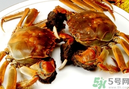 大闸蟹要公的好还是母的好吃,大闸蟹公和母哪个好吃