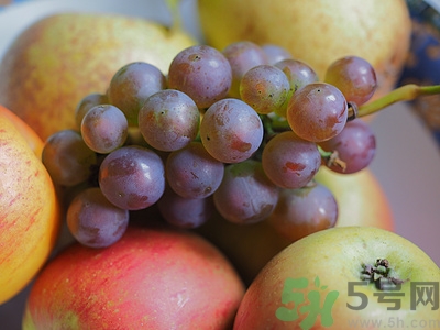 苹果能和葡萄一起榨汁吗,葡萄和什么水果可以一起榨汁