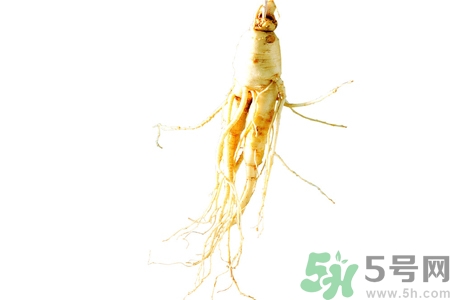 人参怎么吃效果最好?,人参怎么用才最佳效果