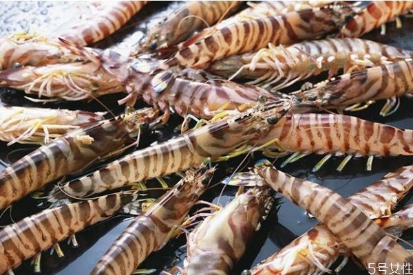竹节虾死了可以吃吗,竹节虾死了多久不能吃 竹节虾死了可以吃吗,竹节虾死了多久不能吃