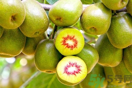 怎么快速剥猕猴桃的皮,猕猴桃剥皮器