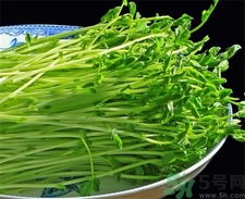 豌豆苗的营养价值及功效和作用,豌豆苗有什么营养和功效