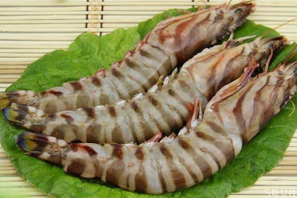 竹节虾是什么虾,竹节虾是九节虾吗