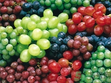 紫葡萄和绿葡萄有啥区别,红葡萄和紫葡萄哪个好