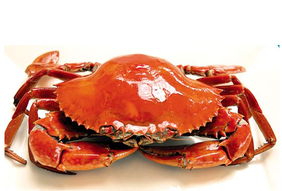 什么季节的螃蟹最好吃,螃蟹怎么吃好