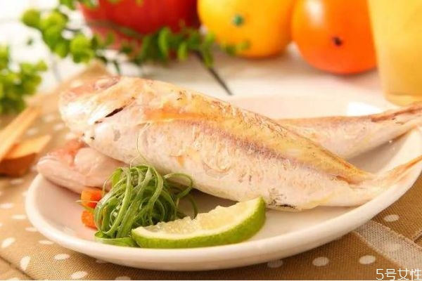 金头鲷的营养价值,金头鲷鱼营养价值