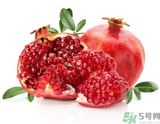 白色的可以吃的花,白色的可以吃的虫子