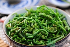 蕨菜的营养价值及功效,蕨菜的功效和作用及食用方法
