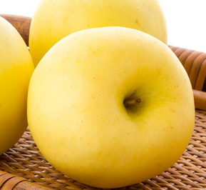 苹果黄元帅的营养价值,黄元帅苹果的功效和作用 苹果黄元帅的营养价值,黄元帅苹果的功效和作用