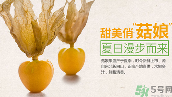 女人刚怀孕吃什么水果比较好,刚怀孕的女人吃什么水果好