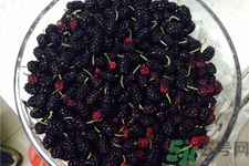 桑葚的营养价值及功效是什么?,桑葚的功效和作用及食用方法 桑葚的营养价值及功效是什么?,桑葚的功效和作用及食用方法