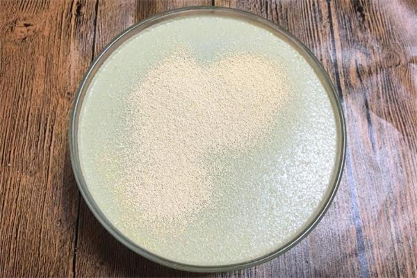 冬天用酵母发面怎样才发的快,冬天发面的方法 酵母粉 冬天用酵母发面怎样才发的快,冬天发面的方法 酵母粉