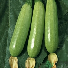 西葫芦的营养价值和功效和作用,西葫芦有什么营养成分和功效
