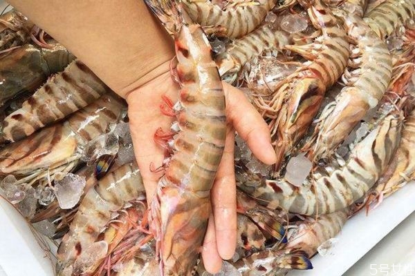 竹节虾怎么吃,竹节虾最好的吃法