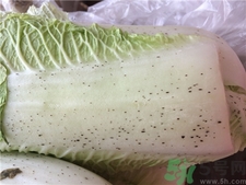 大白菜为什么有黑点呢能吃吗,大白菜上的黑点是否能吃?这里面说清楚了